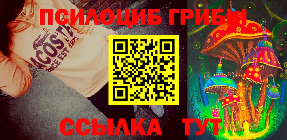 Галлюциногенные грибы Magic Shrooms Кирово-Чепецк
